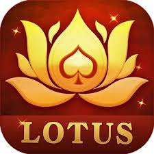 teen patti lakh download